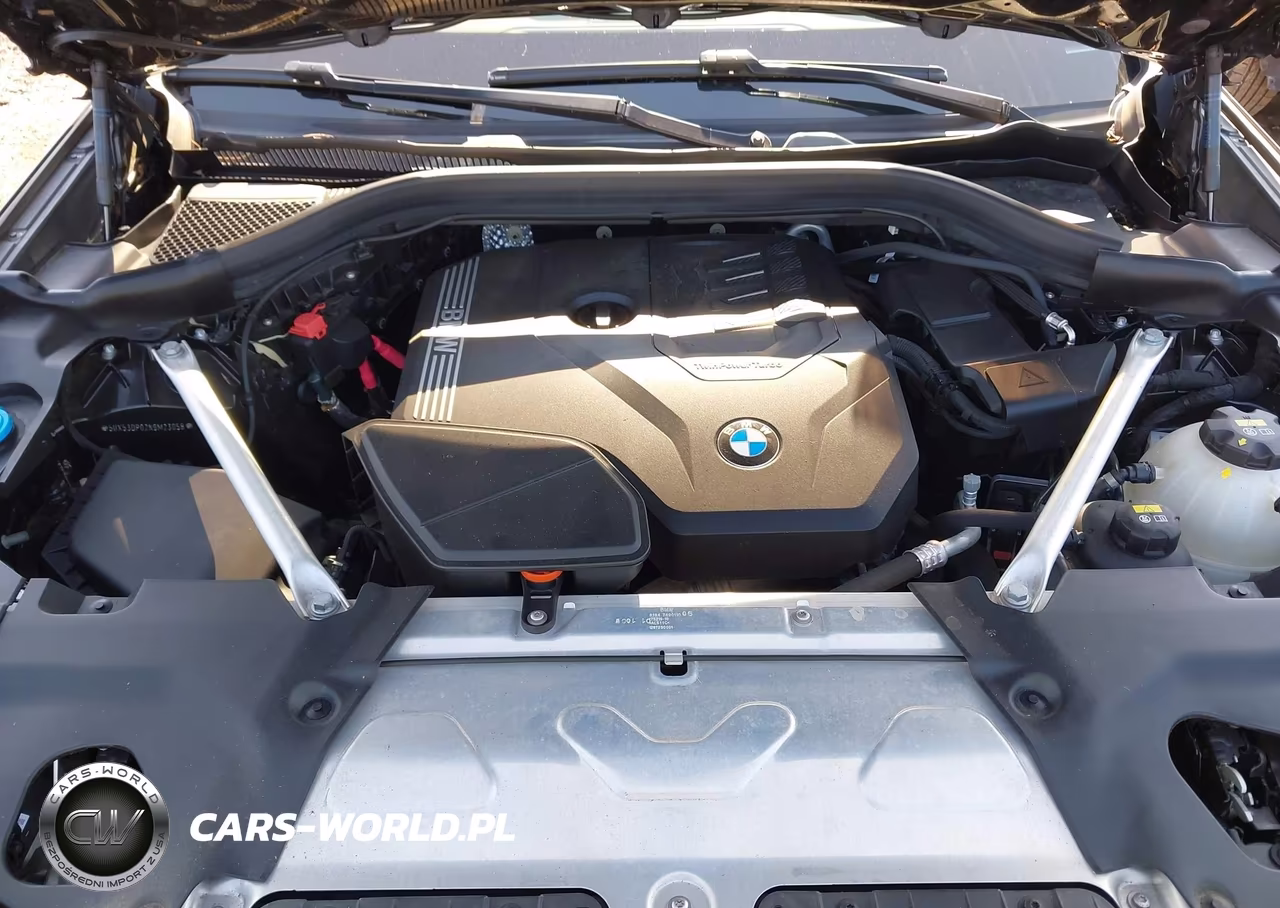 2022 BMW X3 xDrive30I VIN:5UX53DP02N9M23058 - 10