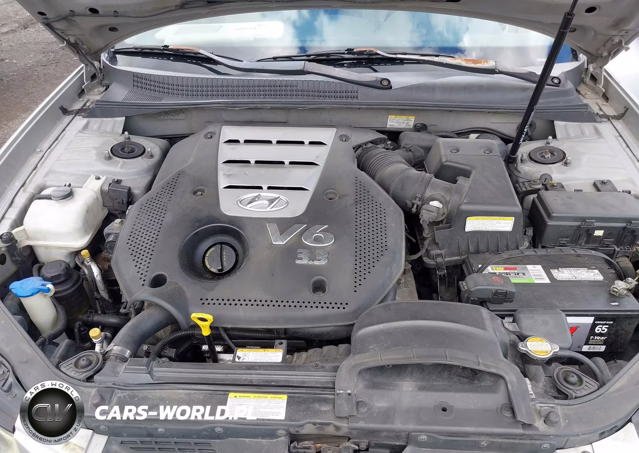 2006 Hyundai Sonata Gls V6-Lx V6 VIN:5NPEU46F46H099172 - 10