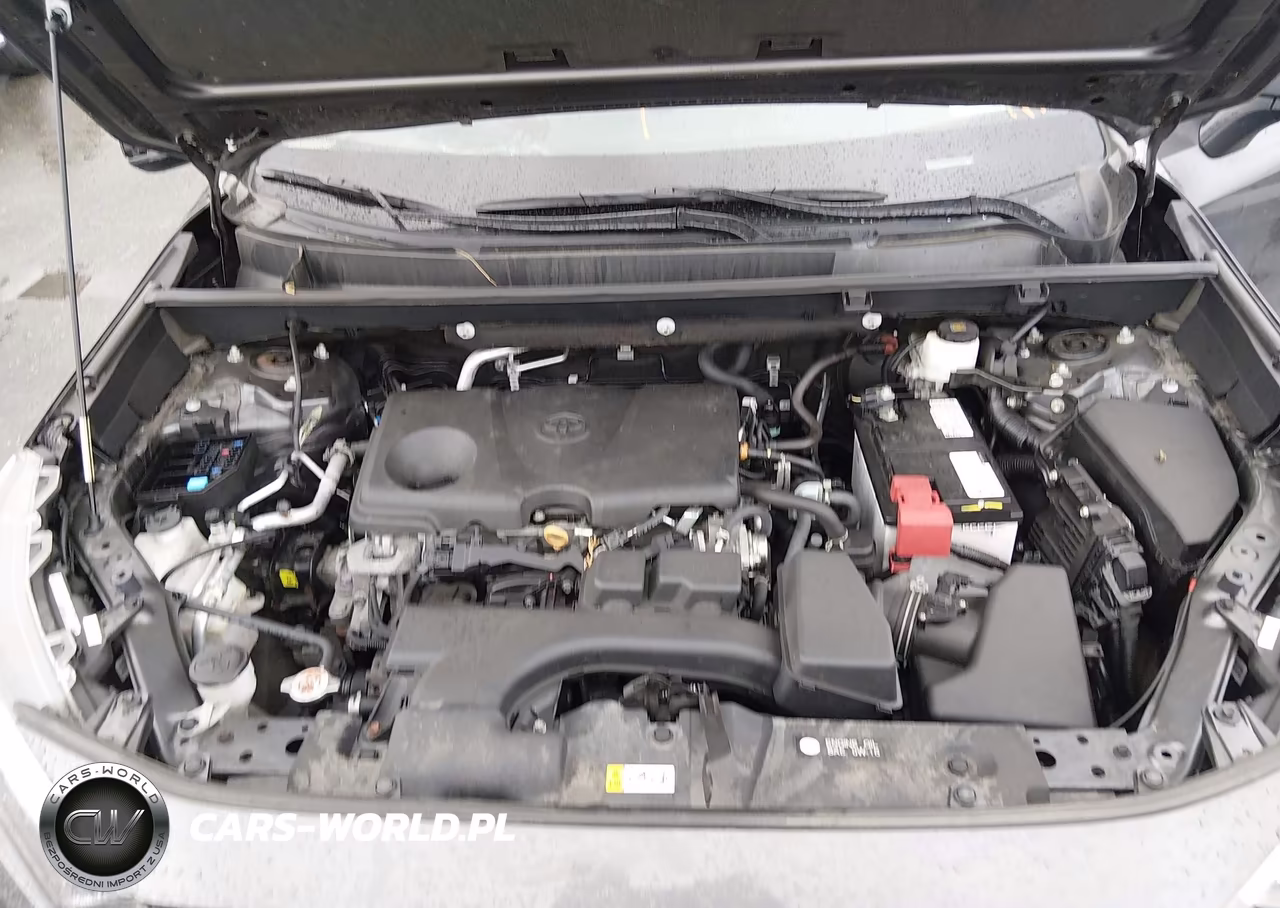 2023 Toyota Rav4 Xle VIN:2T3P1RFV8PC375015 - 10