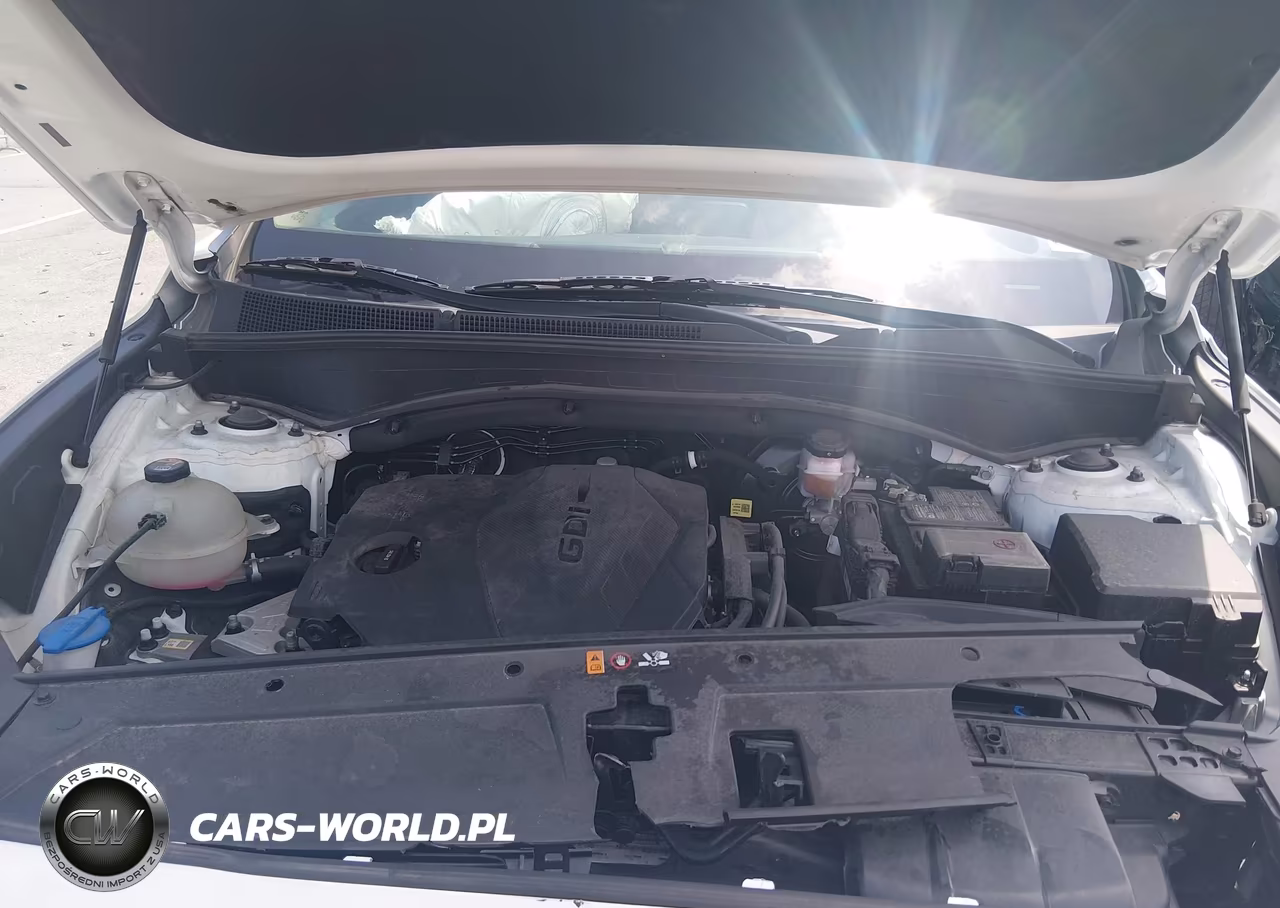 2023 Hyundai Santa Fe Se VIN:5NMS1DAJ3PH553868 - 10