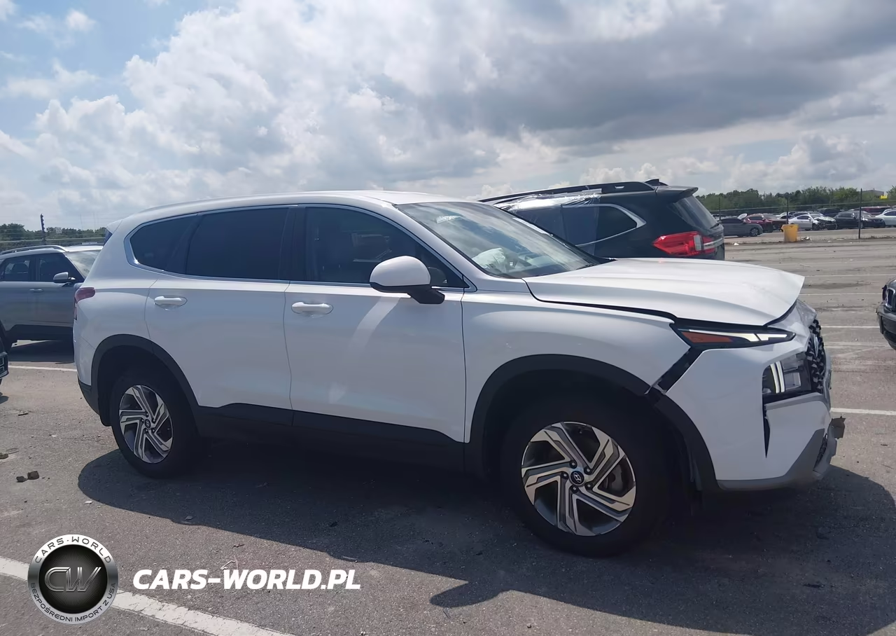 2023 Hyundai Santa Fe Se VIN:5NMS1DAJ3PH553868 - 13