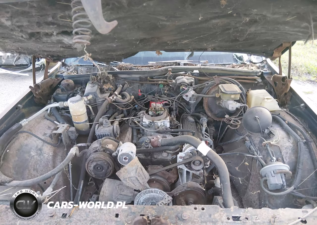 1989 Chevrolet Caprice Classic VIN:1G1BN51E5KR179726 - 10