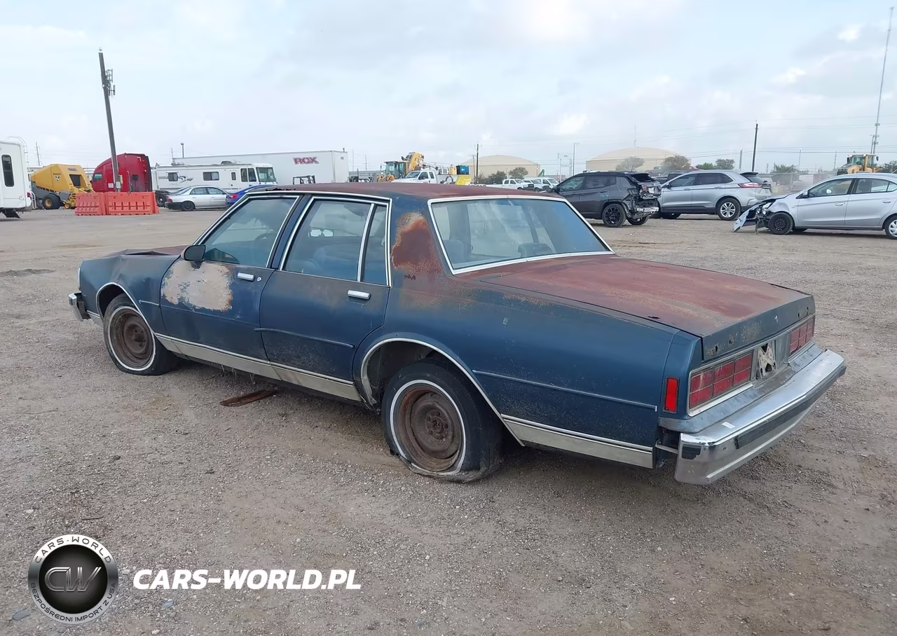 1989 Chevrolet Caprice Classic VIN:1G1BN51E5KR179726 - 3