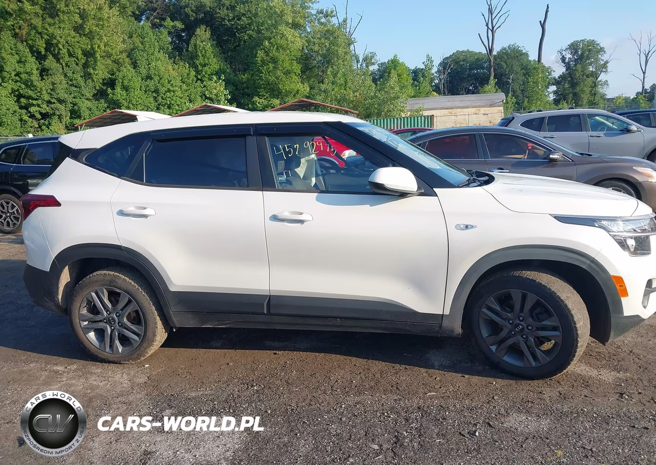 2021 Kia Seltos Lx VIN:KNDEPCAA2M7160033 - 13