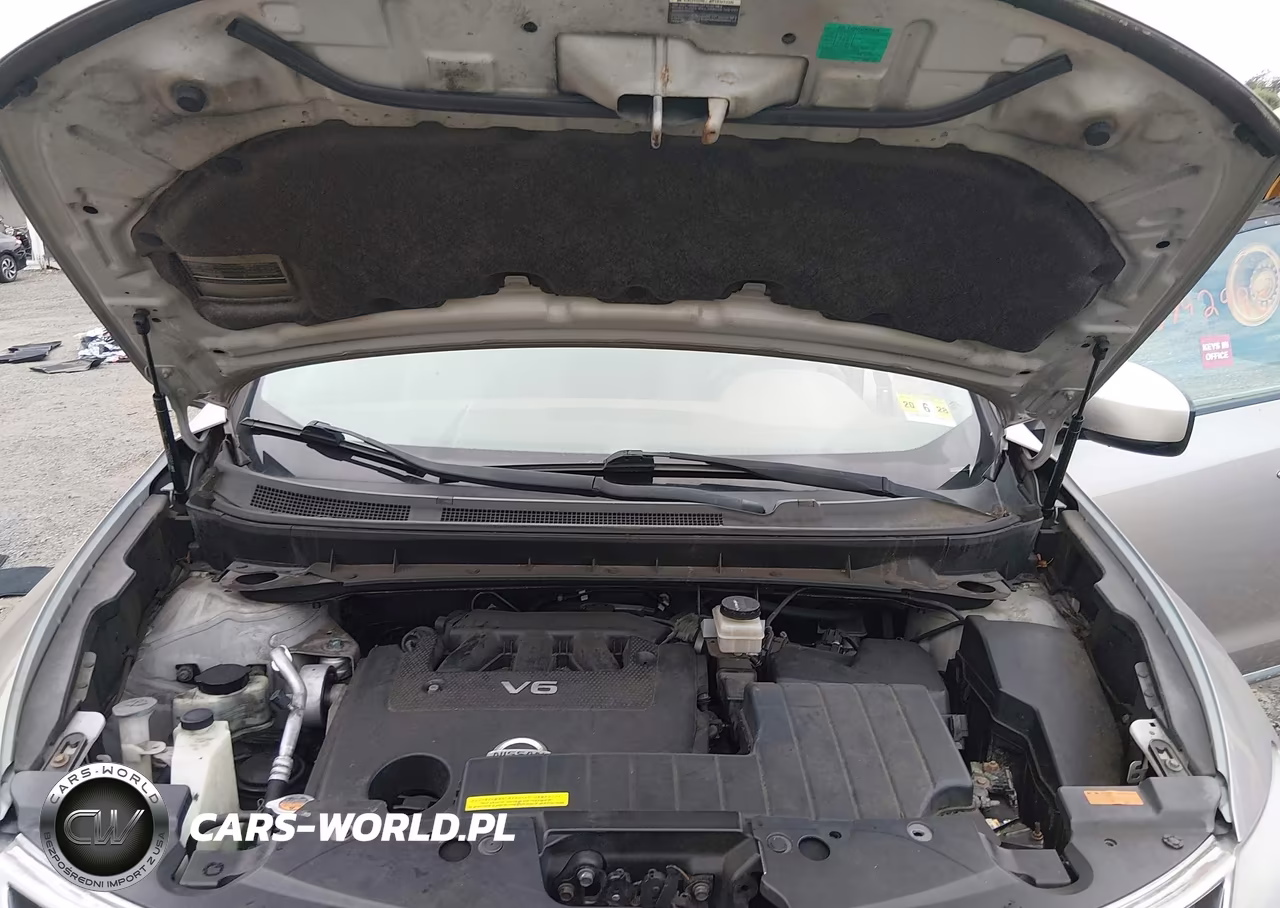 2010 Nissan Murano Le VIN:JN8AZ1MW6AW121438 - 10