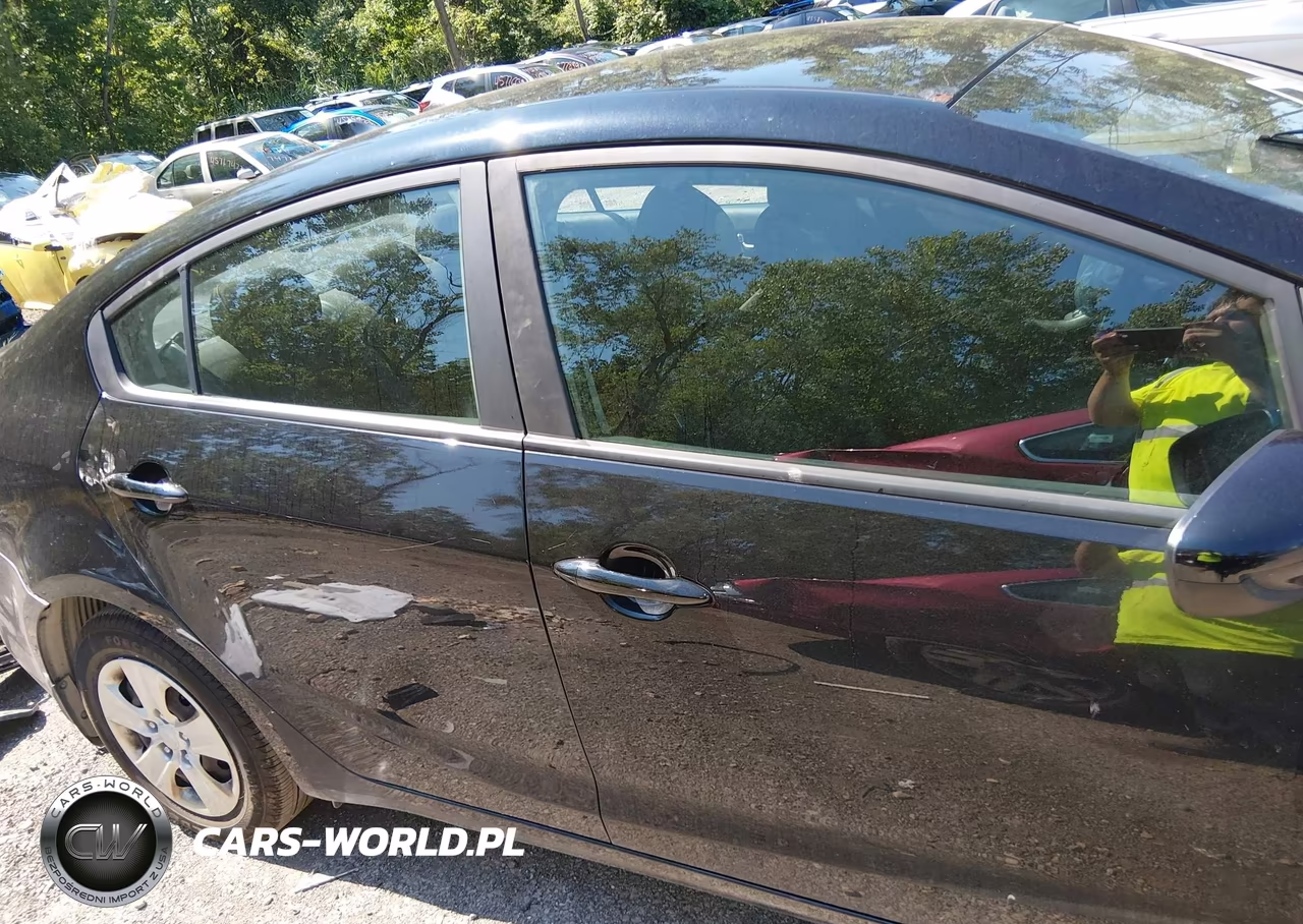 2018 Kia Forte Lx VIN:3KPFK4A77JE230974 - 14