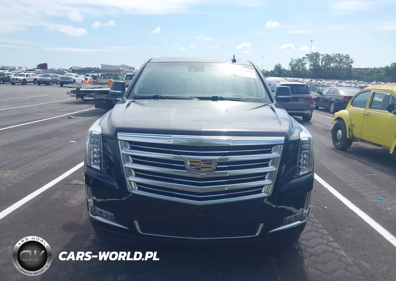2016 Cadillac Escalade Platinum VIN:1GYS4DKJ7GR131856 - 12