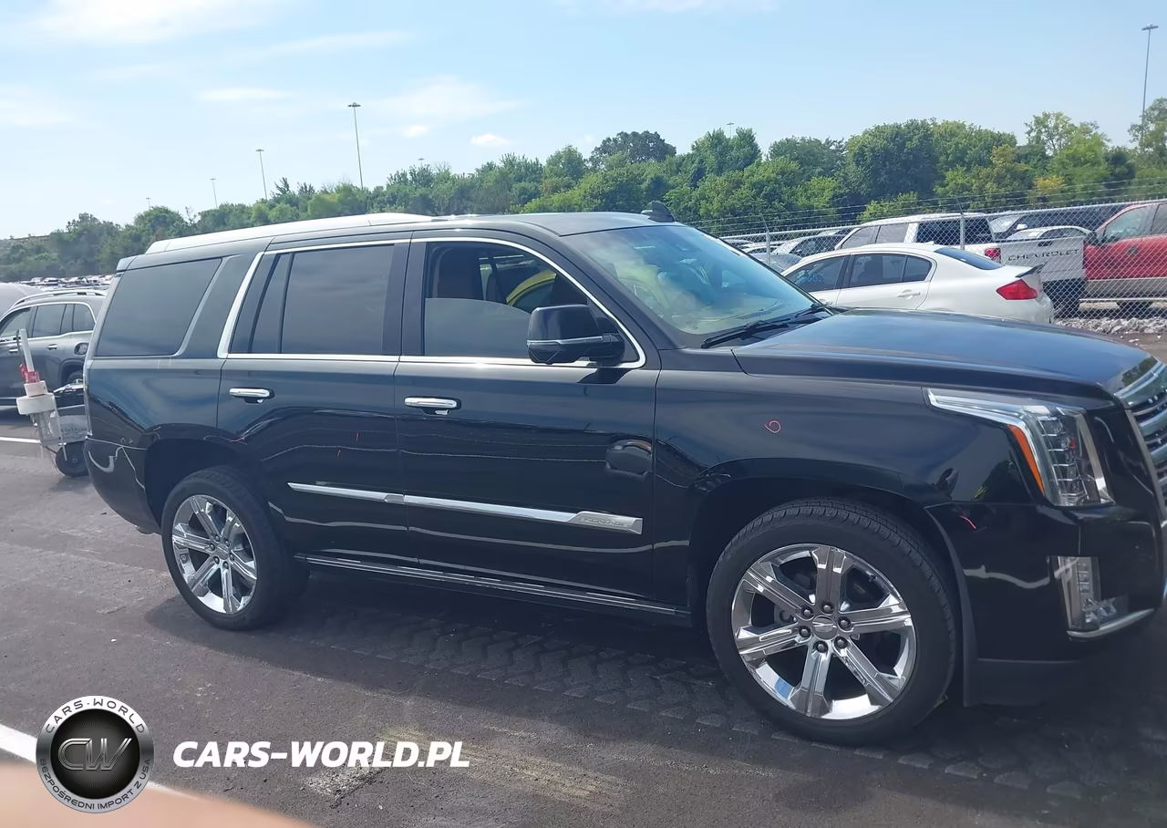 2016 Cadillac Escalade Platinum VIN:1GYS4DKJ7GR131856 - 13
