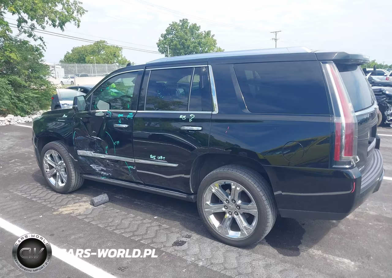 2016 Cadillac Escalade Platinum VIN:1GYS4DKJ7GR131856 - 14