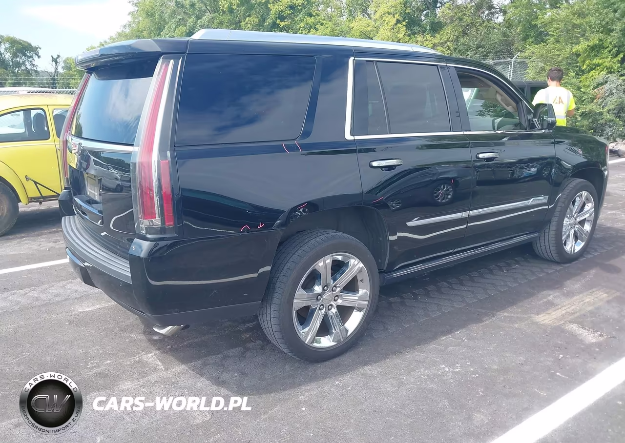 2016 Cadillac Escalade Platinum VIN:1GYS4DKJ7GR131856 - 4