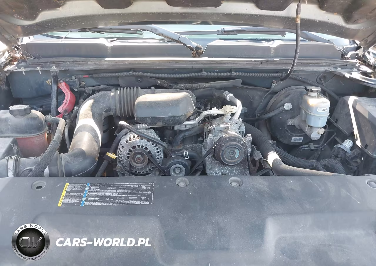 2007 Chevrolet Silverado 1500 Work Truck VIN:1GCEC14X07Z620671 - 10