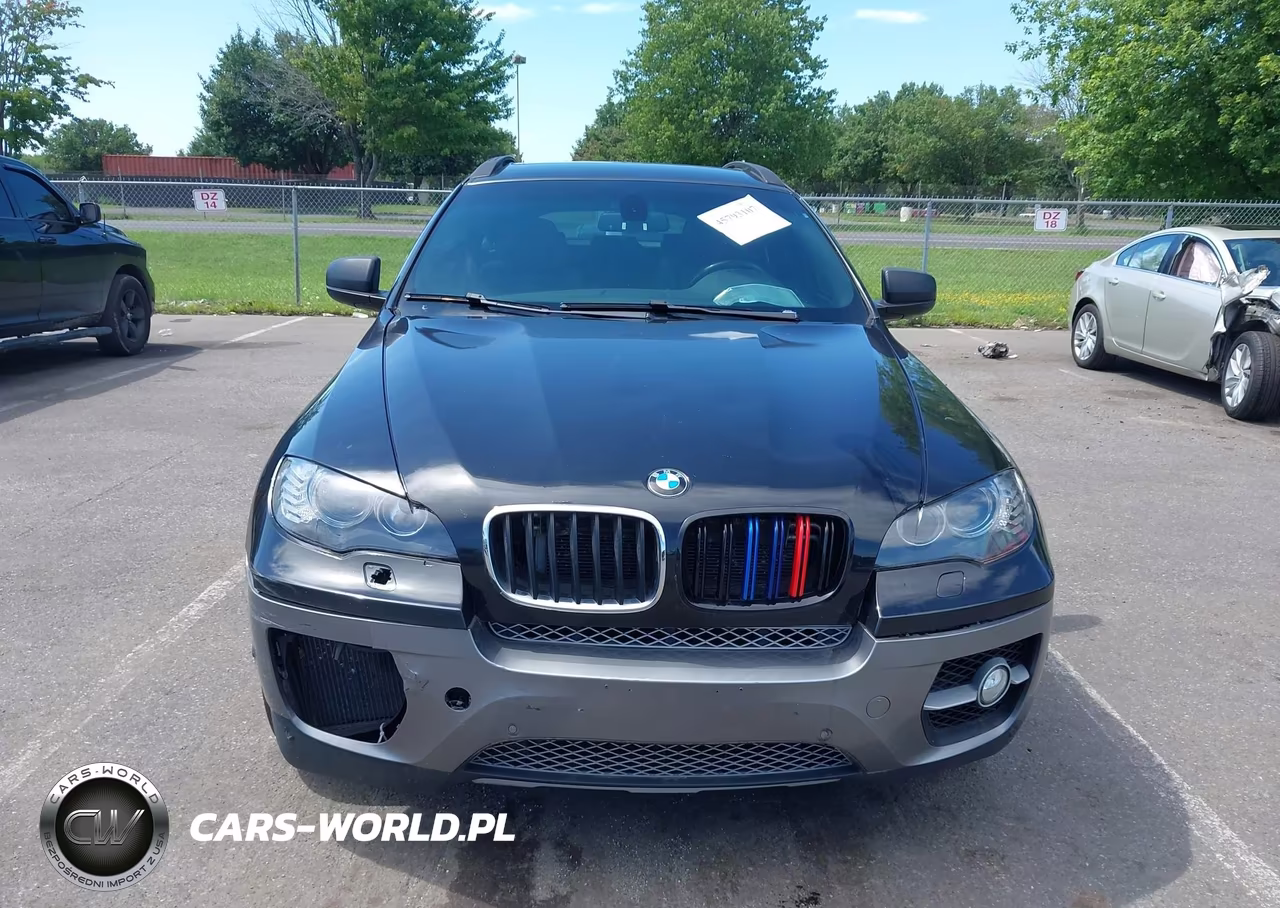 2013 BMW X6 xDrive50I VIN:5UXFG8C55DL591053 - 12