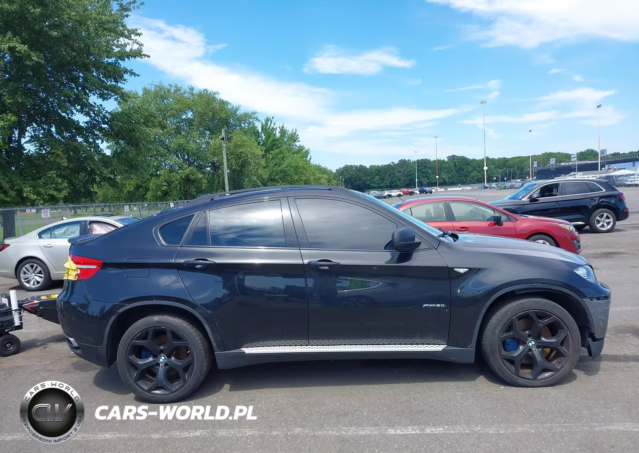 2013 BMW X6 xDrive50I VIN:5UXFG8C55DL591053 - 13