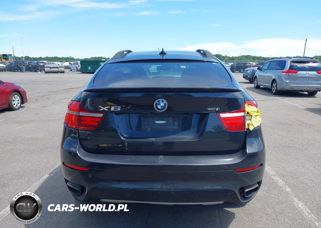 2013 BMW X6 xDrive50I VIN:5UXFG8C55DL591053 - 16