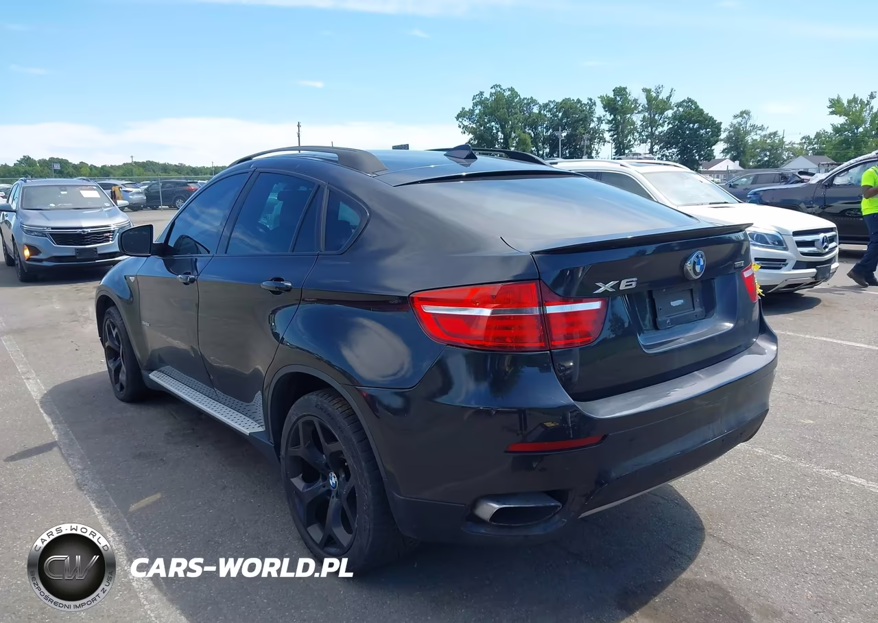 2013 BMW X6 xDrive50I VIN:5UXFG8C55DL591053 - 3