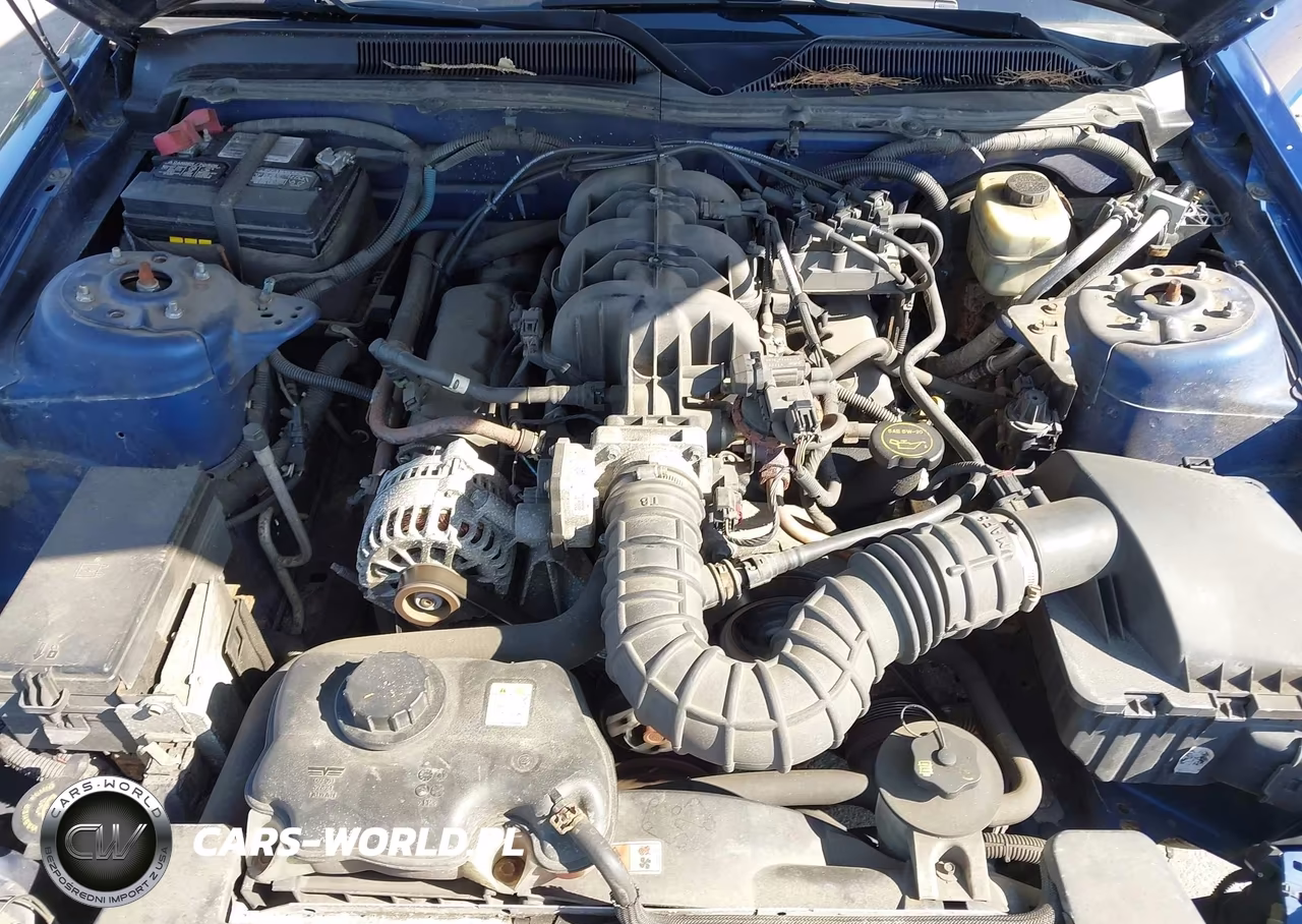 2006 Ford Mustang V6 VIN:1ZVHT80NX65250634 - 10