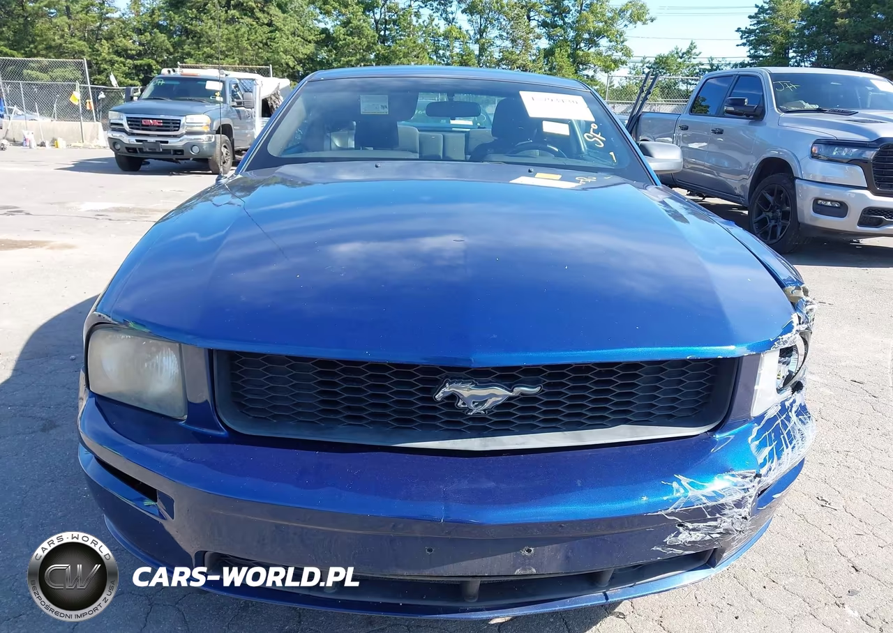 2006 Ford Mustang V6 VIN:1ZVHT80NX65250634 - 12