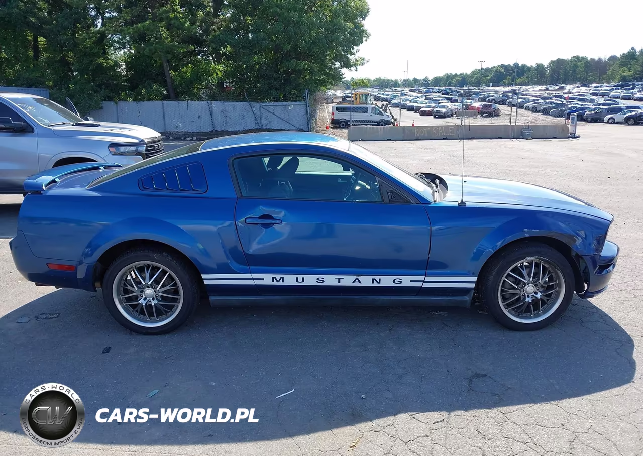 2006 Ford Mustang V6 VIN:1ZVHT80NX65250634 - 13