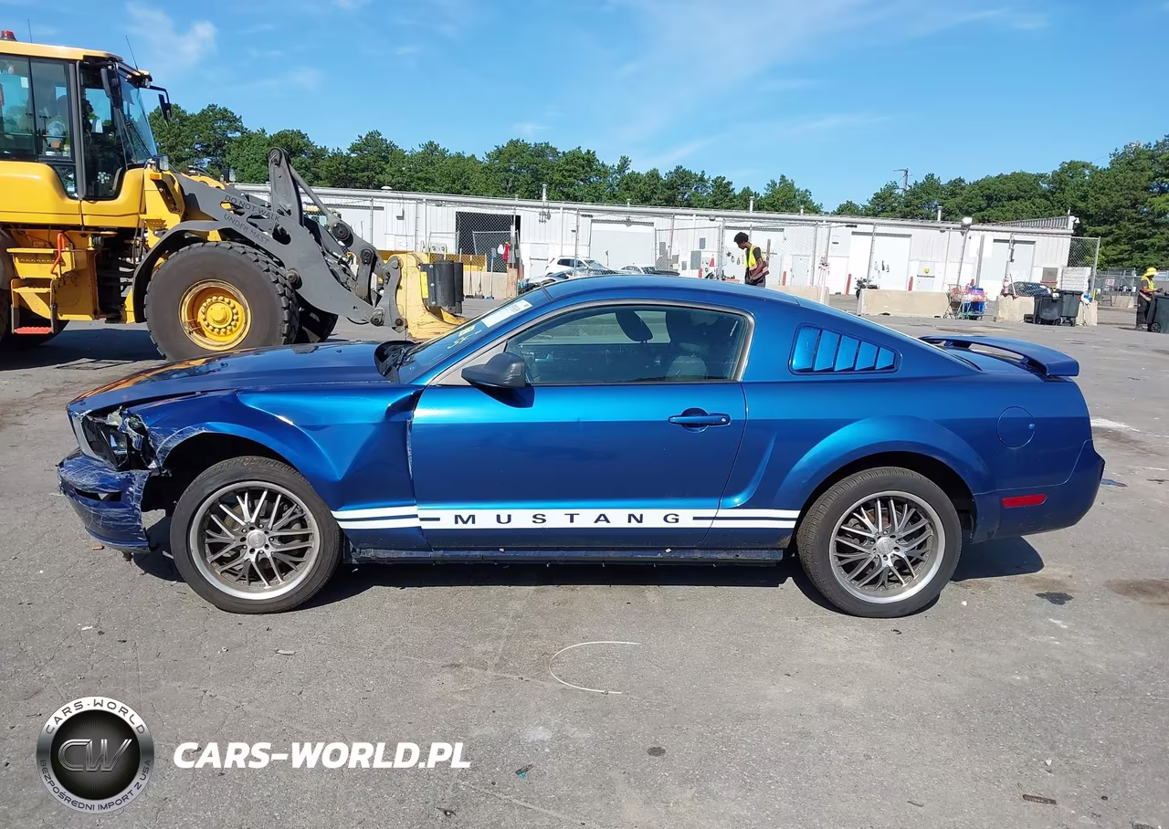 2006 Ford Mustang V6 VIN:1ZVHT80NX65250634 - 14