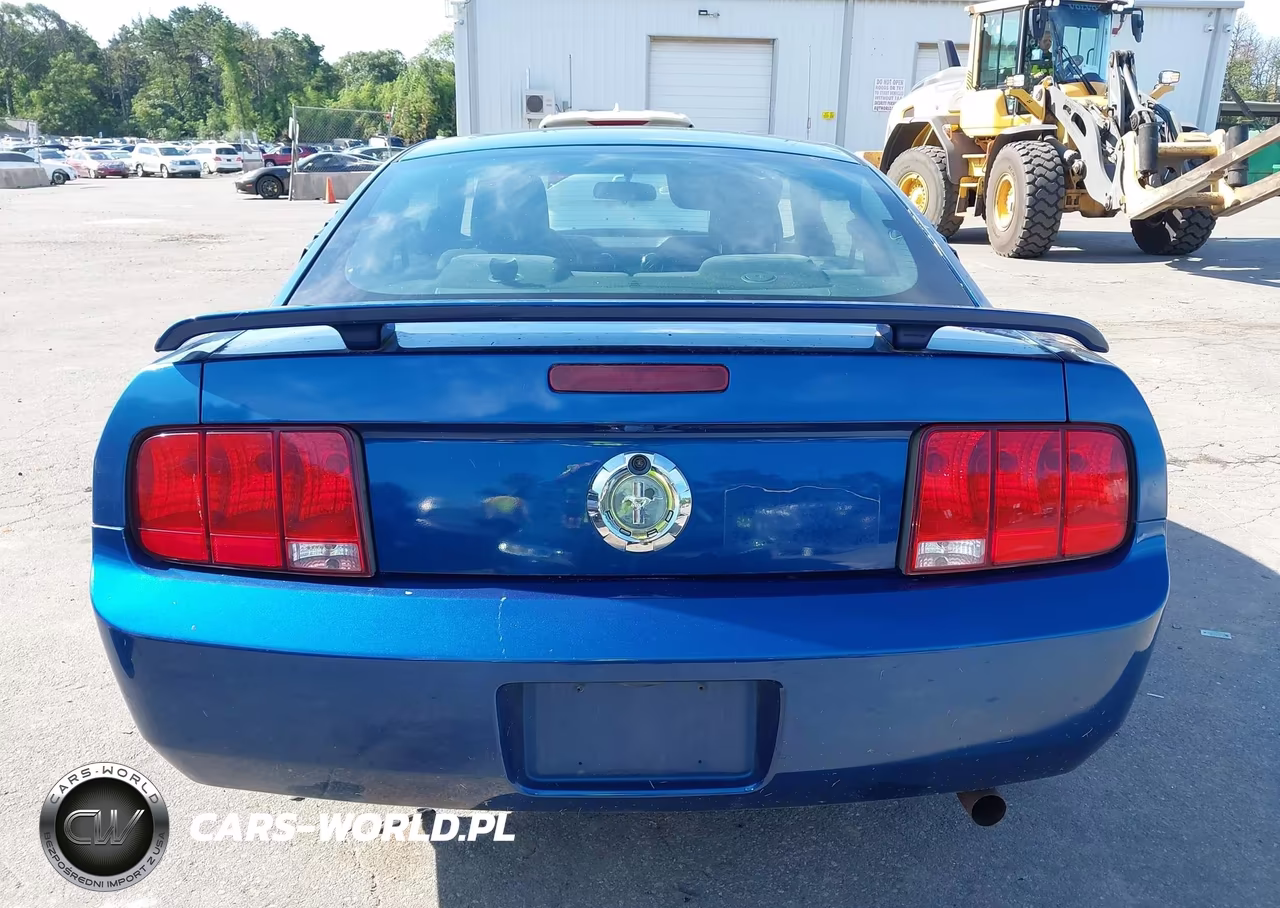 2006 Ford Mustang V6 VIN:1ZVHT80NX65250634 - 16