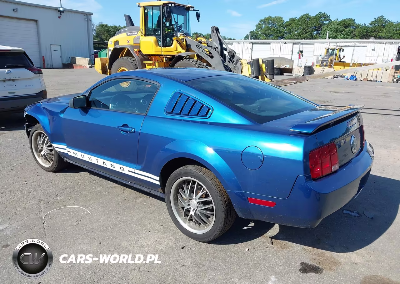 2006 Ford Mustang V6 VIN:1ZVHT80NX65250634 - 3