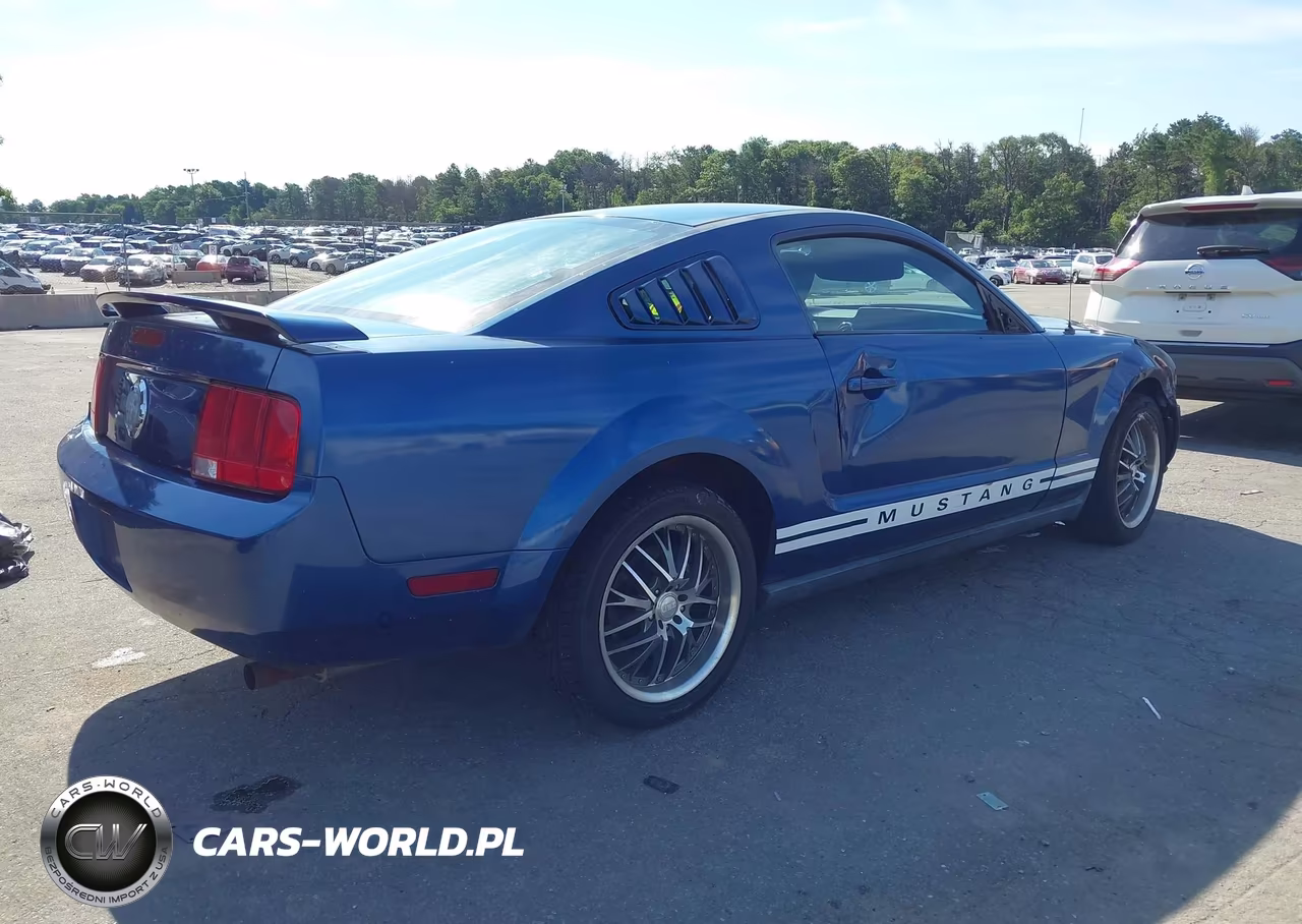2006 Ford Mustang V6 VIN:1ZVHT80NX65250634 - 4