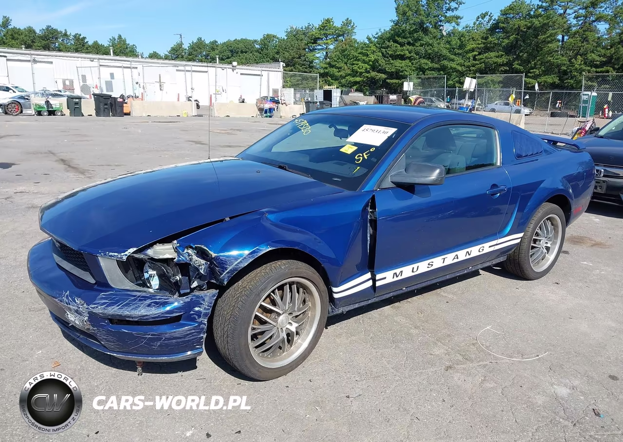 2006 Ford Mustang V6 VIN:1ZVHT80NX65250634 - 6