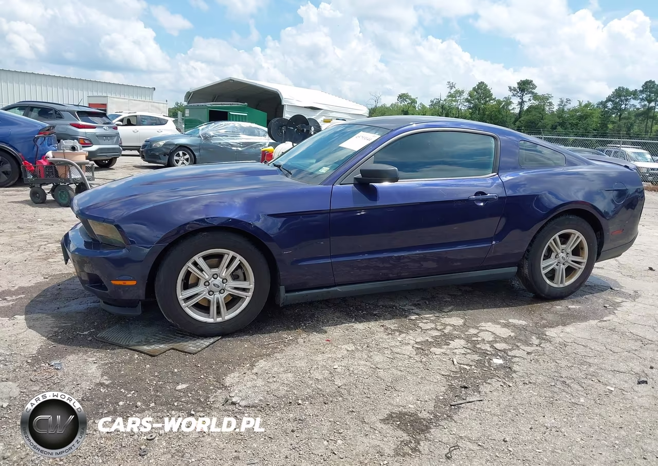2012 Ford Mustang V6 VIN:1ZVBP8AM2C5271957 - 14