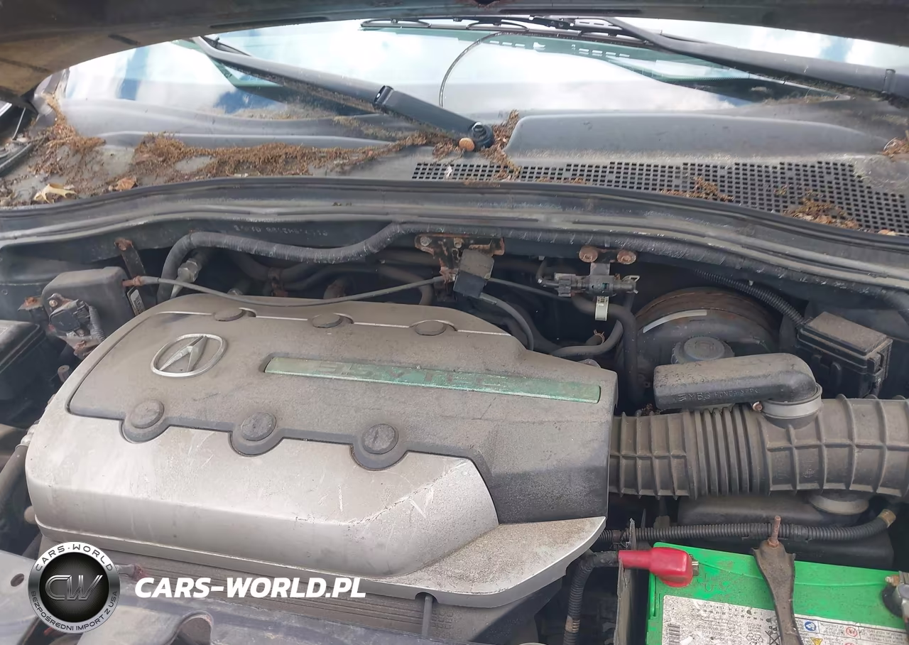 2005 Acura Mdx VIN:2HNYD18665H510713 - 10