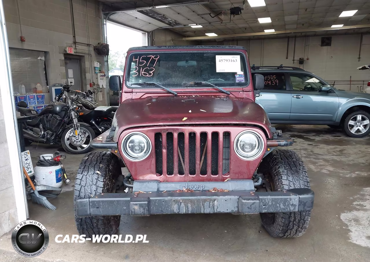 2003 Jeep Wrangler Se VIN:1J4FA29193P361957 - 13