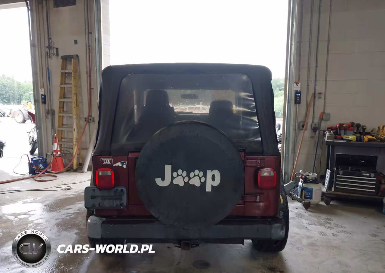 2003 Jeep Wrangler Se VIN:1J4FA29193P361957 - 15