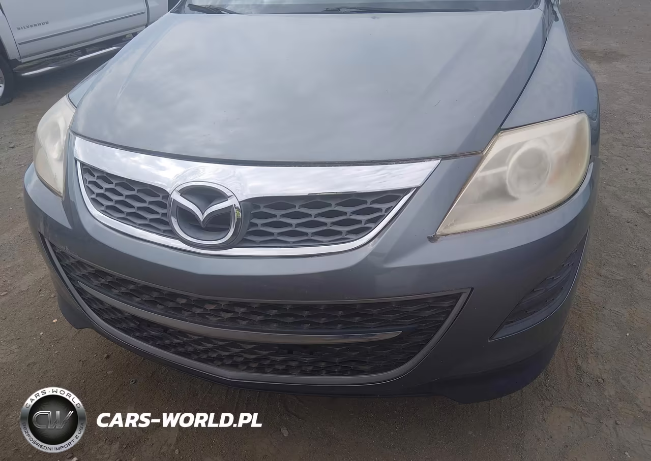 2010 Mazda Cx-9 Sport VIN:JM3TB3MA8A0213718 - 6