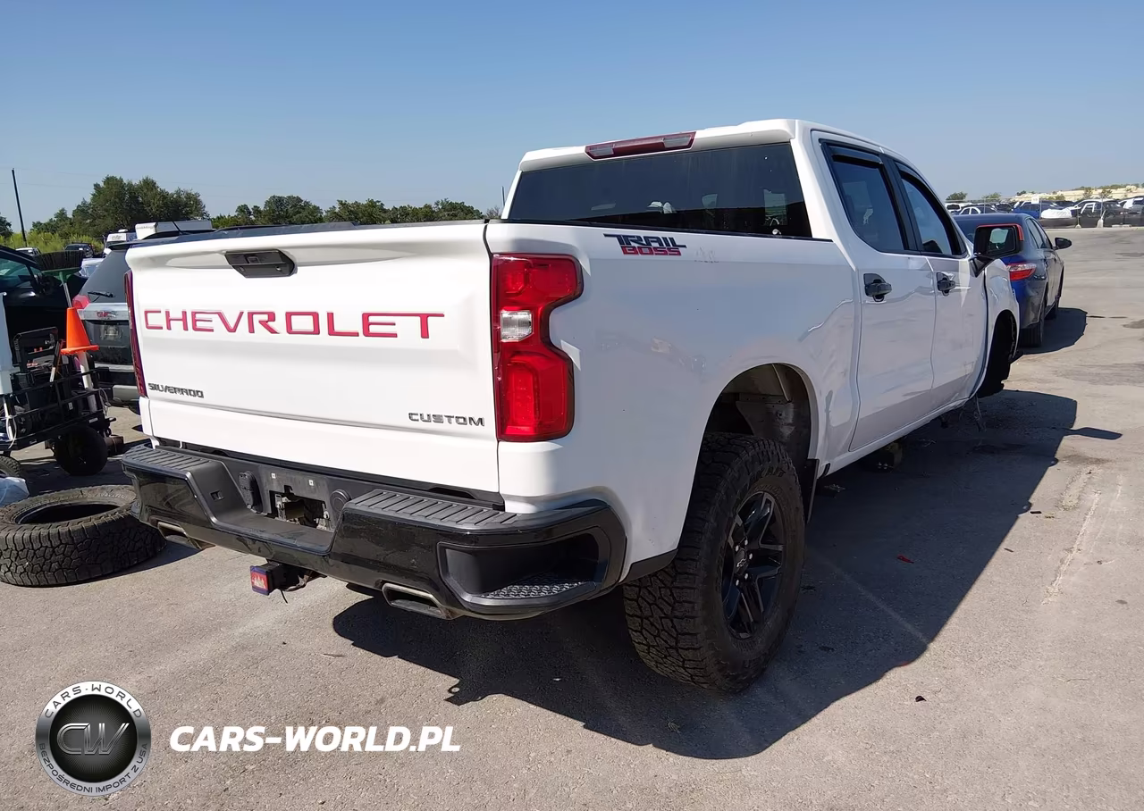 2019 Chevrolet Silverado 1500 Custom Trail Boss VIN:3GCPYCEF8KG185922 - 4