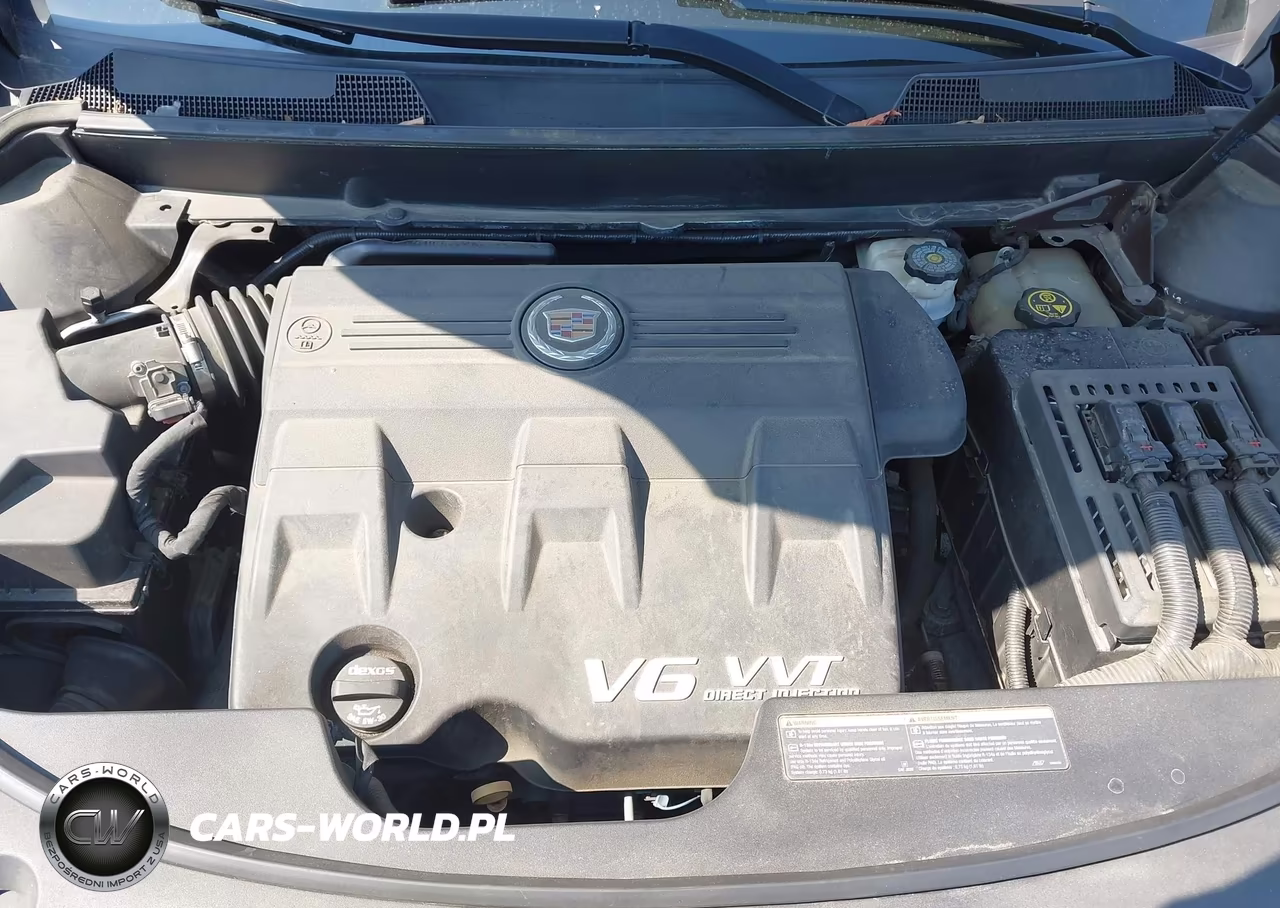 2015 Cadillac Srx Standard VIN:3GYFNAE35FS557003 - 10