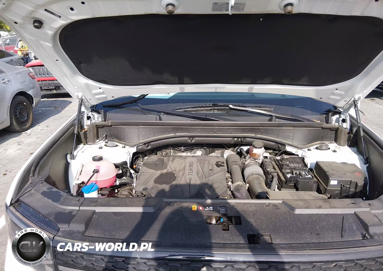 2025 Hyundai Santa Fe Calligraphy VIN:5NMP54GL9SH134581 - 10