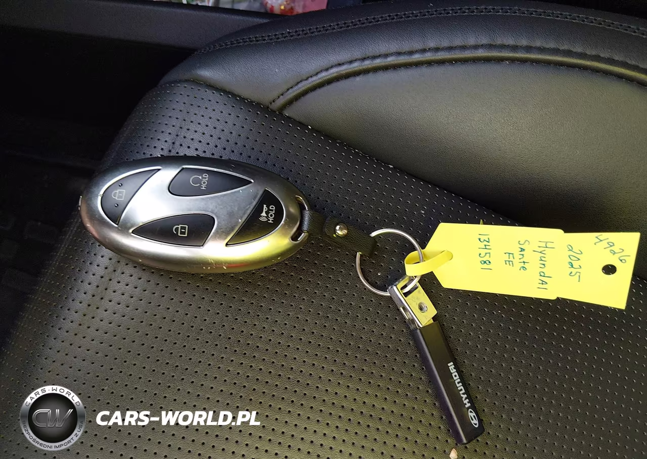 2025 Hyundai Santa Fe Calligraphy VIN:5NMP54GL9SH134581 - 11