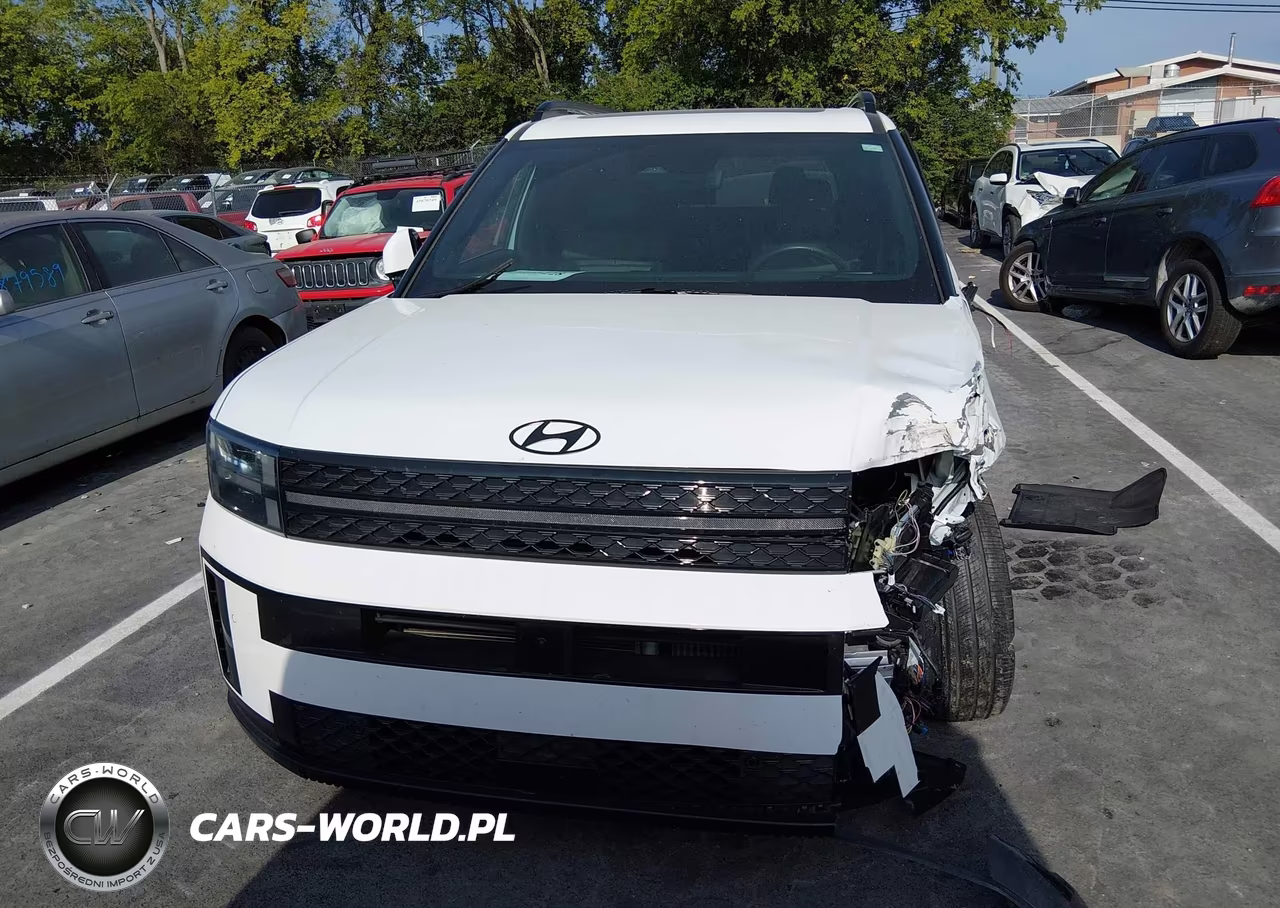 2025 Hyundai Santa Fe Calligraphy VIN:5NMP54GL9SH134581 - 12
