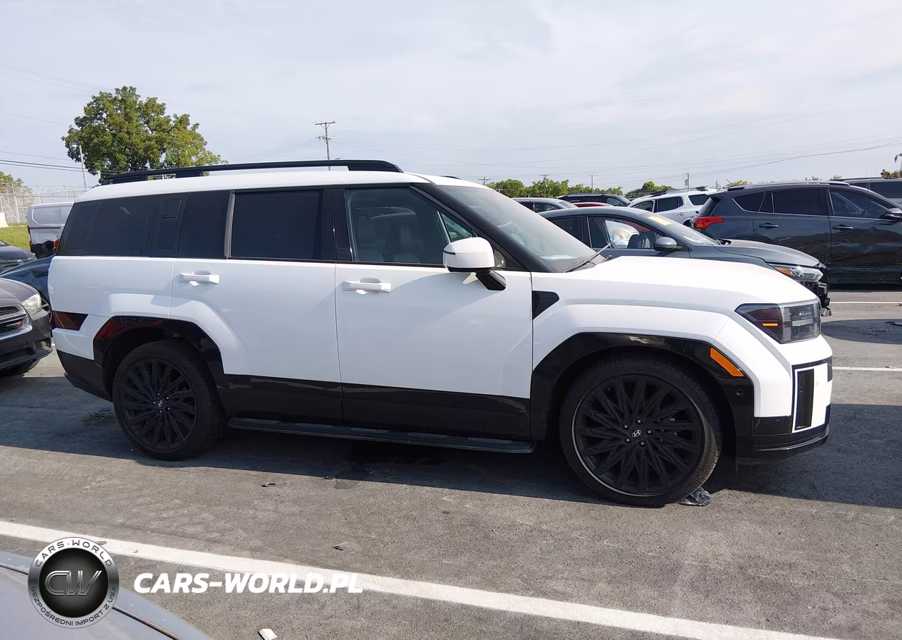 2025 Hyundai Santa Fe Calligraphy VIN:5NMP54GL9SH134581 - 13