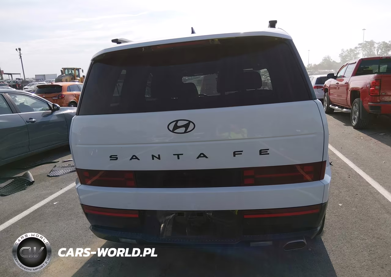 2025 Hyundai Santa Fe Calligraphy VIN:5NMP54GL9SH134581 - 16