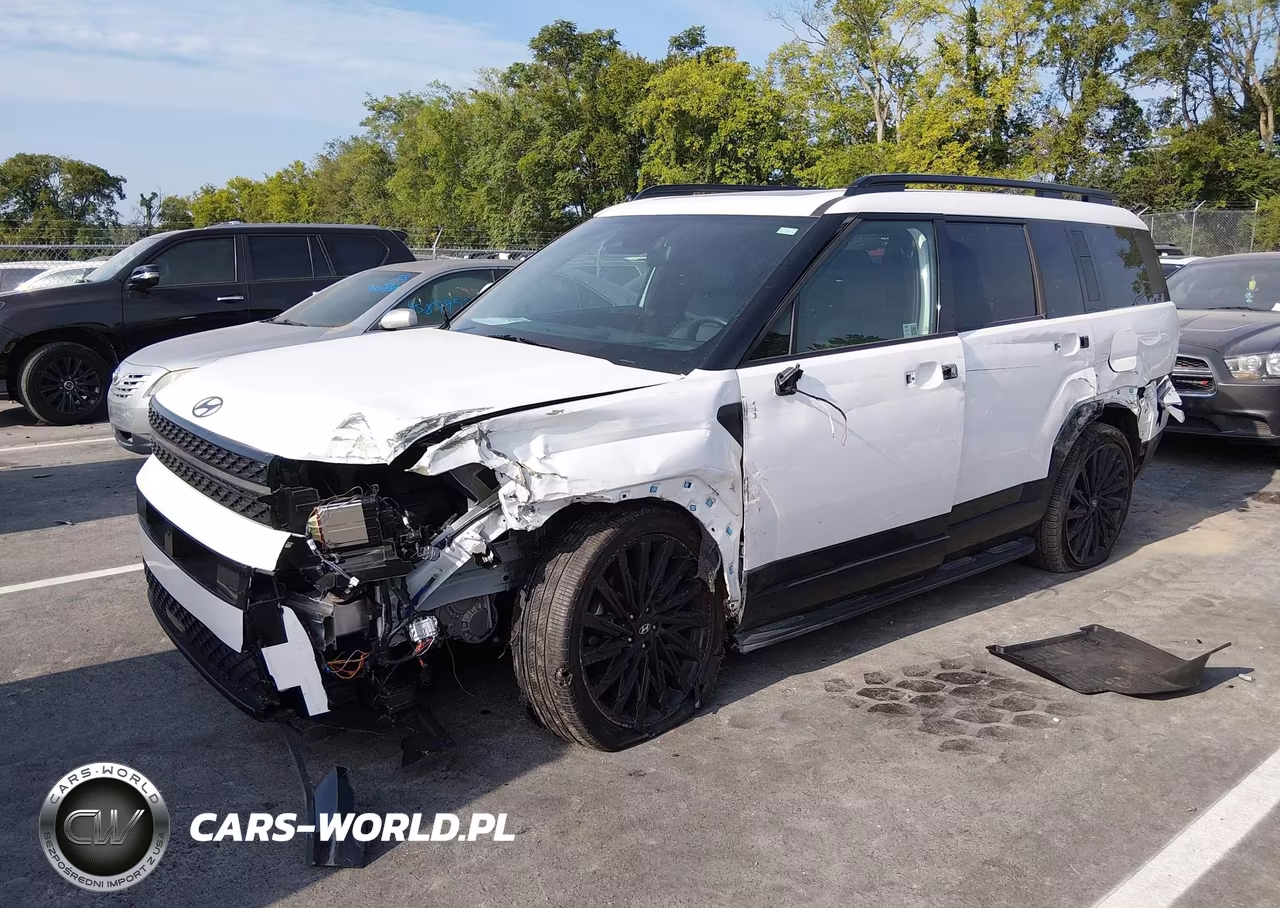 2025 Hyundai Santa Fe Calligraphy VIN:5NMP54GL9SH134581 - 2
