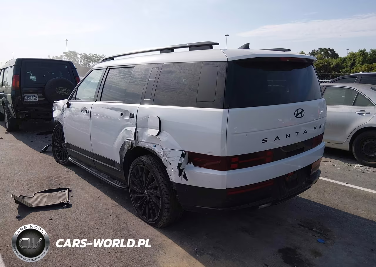 2025 Hyundai Santa Fe Calligraphy VIN:5NMP54GL9SH134581 - 3