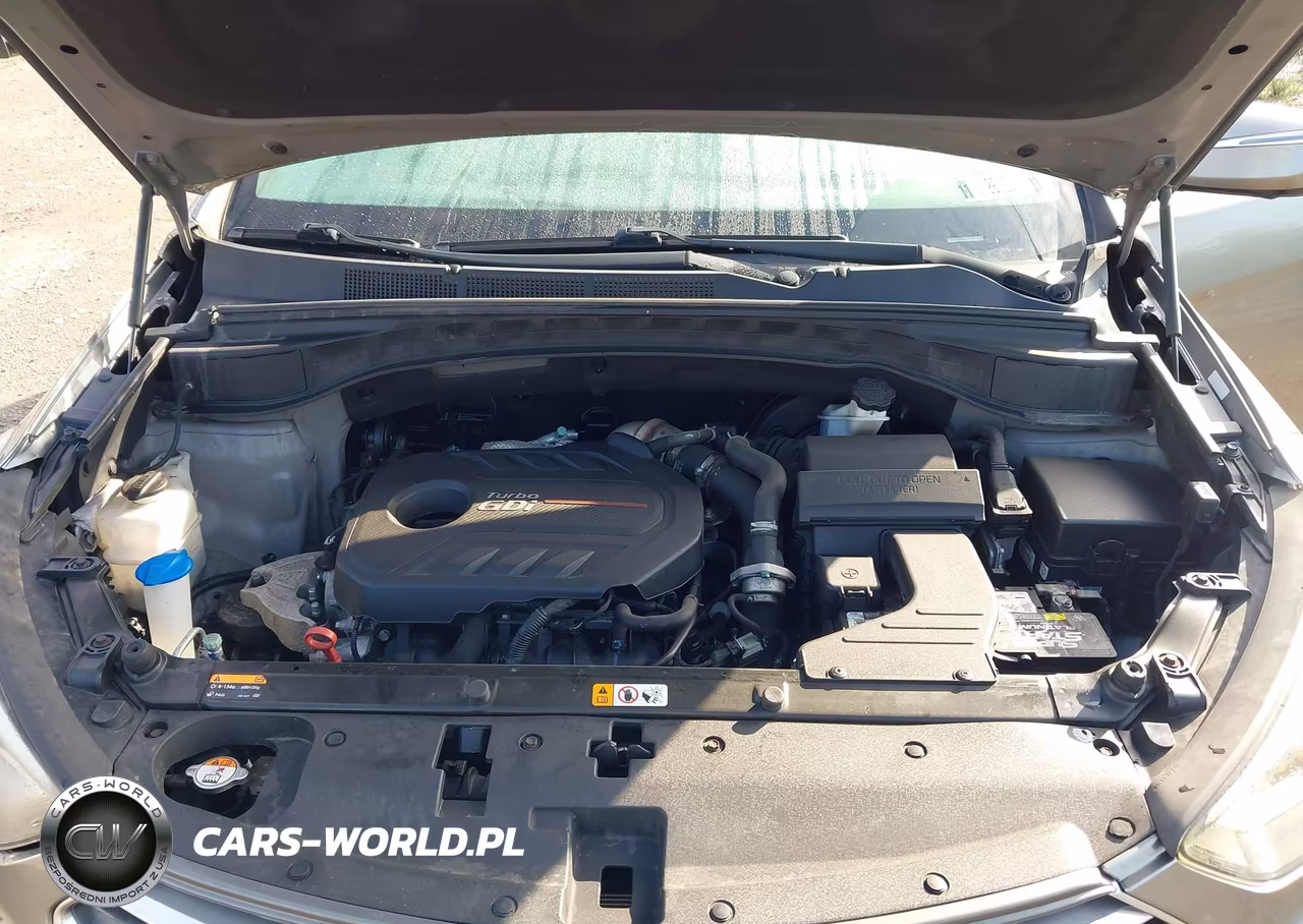 2017 Hyundai Santa Fe Sport 2.0T Ultimate VIN:5XYZWDLA4HG424126 - 10