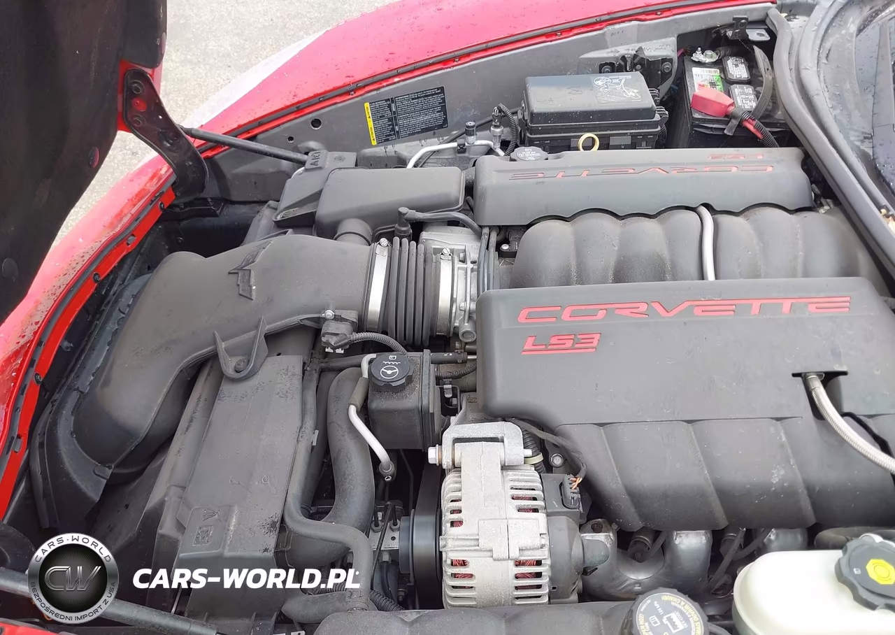 2009 Chevrolet Corvette VIN:1G1YY36WX95110491 - 10