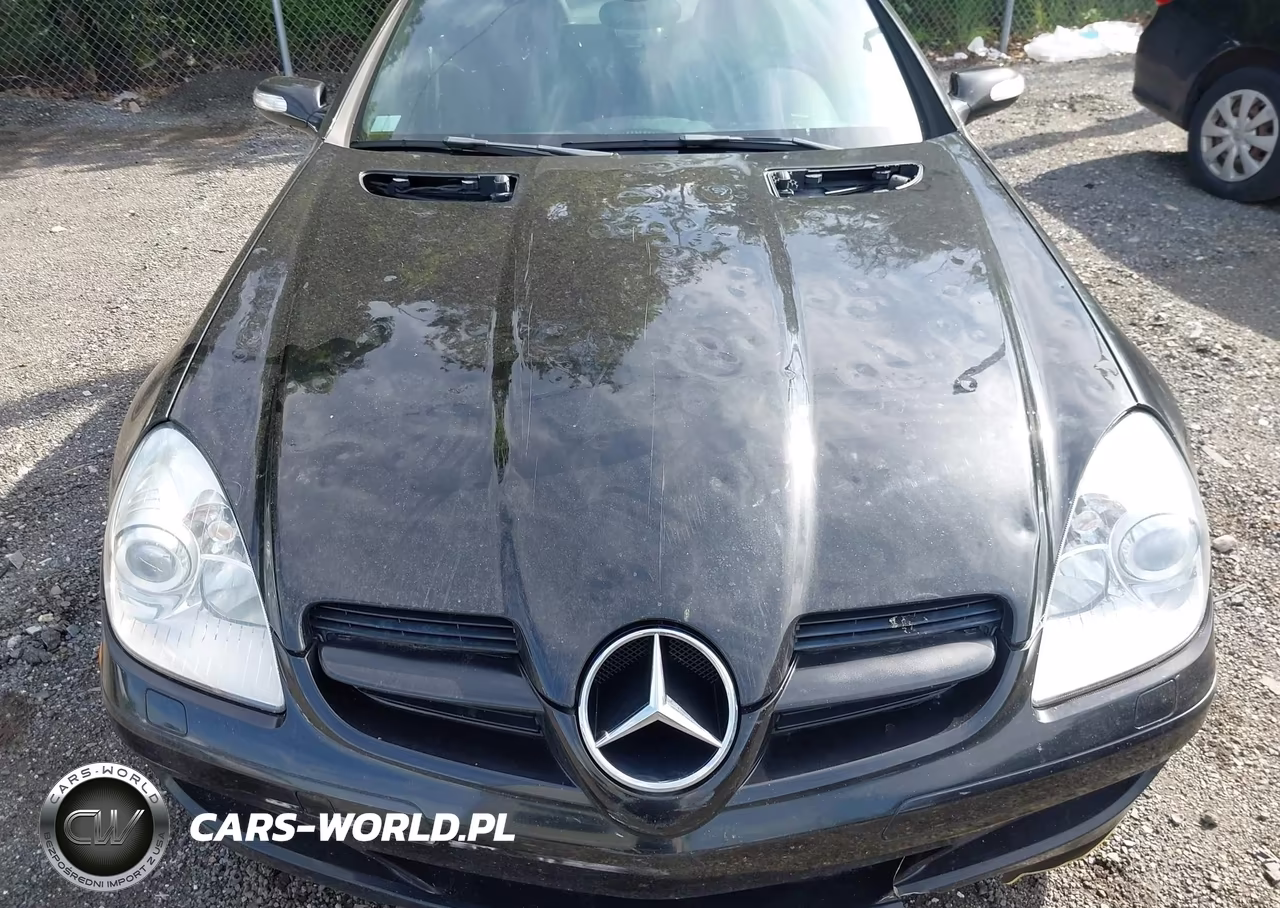2008 Mercedes-Benz Slk 280 VIN:WDBWK54F48F180347 - 6