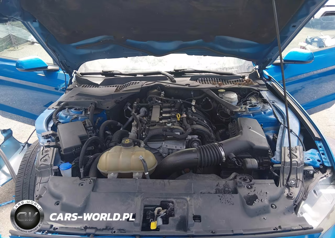 2021 Ford Mustang Ecoboost Premium VIN:1FATP8UH2M5105273 - 10