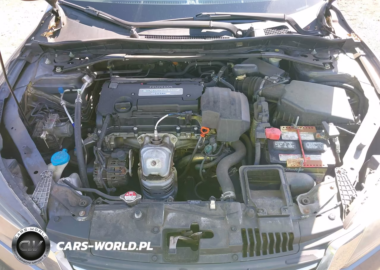 2013 Honda Accord Ex-L VIN:1HGCR2F84DA175669 - 10