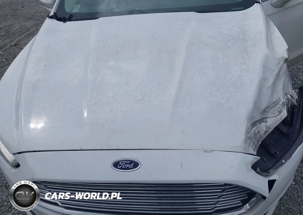 2013 Ford Fusion Se VIN:3FA6P0H71DR249801 - 10