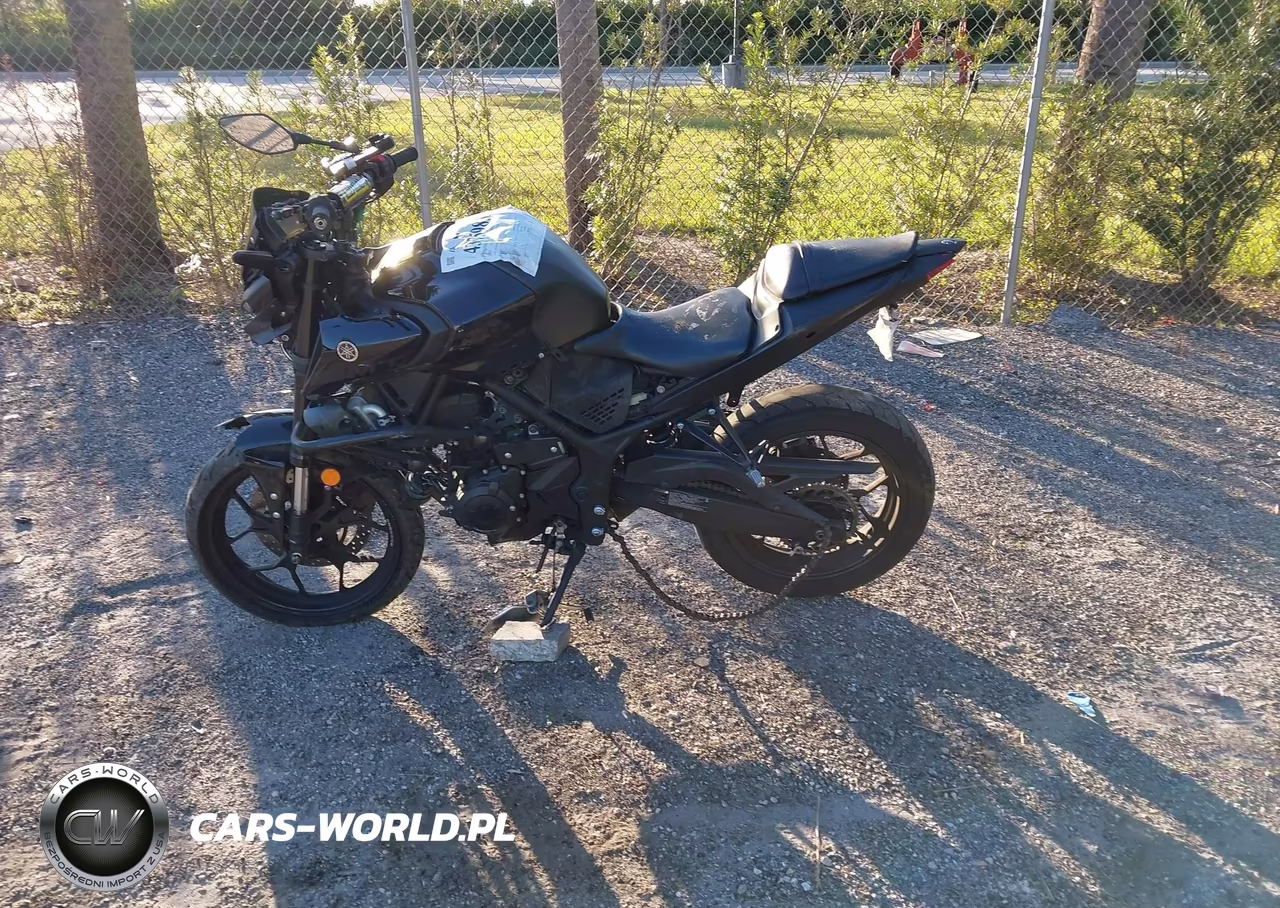 2020 Yamaha Mt-03 VIN:MH3RH20Y7LK002744 - 12