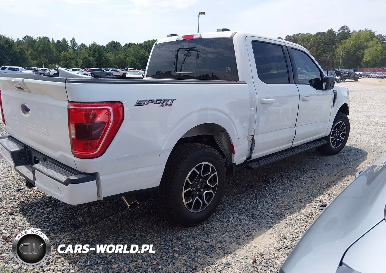 2023 Ford F-150 Xlt VIN:1FTFW1E51PFB23915 - 4