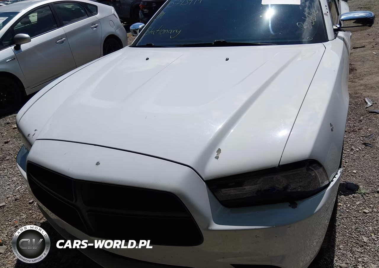 2012 Dodge Charger Police VIN:2C3CDXAT6CH145244 - 6